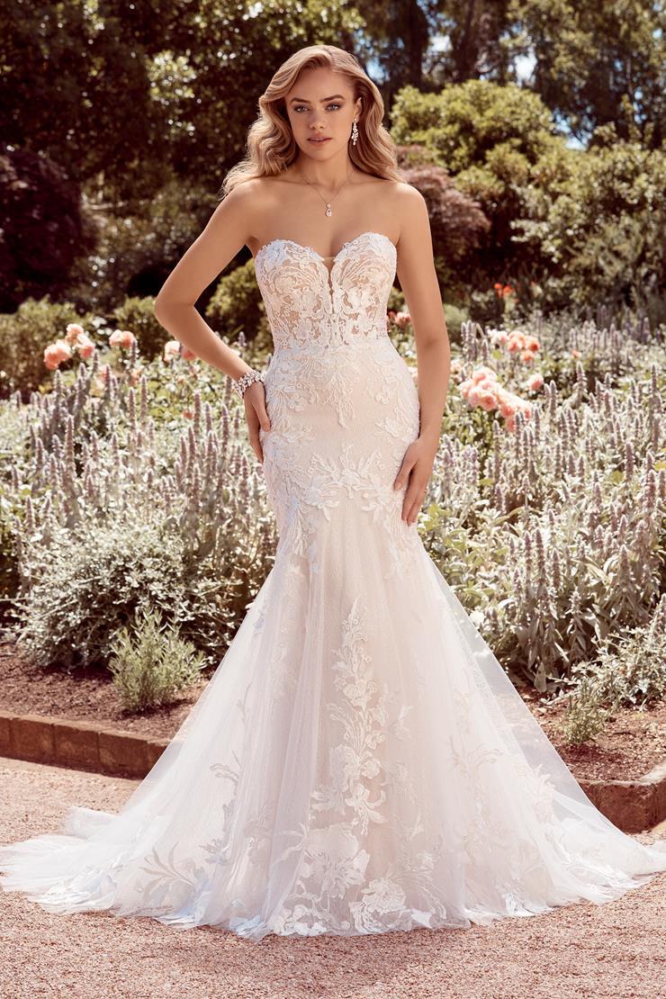 Sophia Tolli Trunk Show
