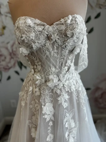 Bella Rose Callie #1 thumbnail