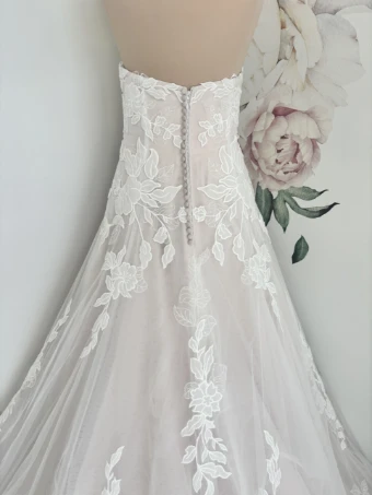 Bella Rose Aria #3 thumbnail