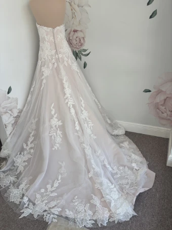 Bella Rose Aria #2 thumbnail