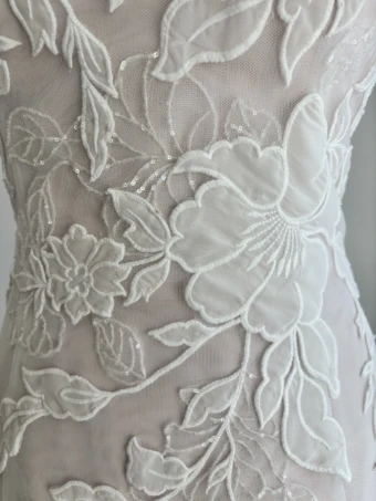 Bella Rose Aria #1 thumbnail