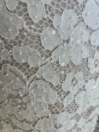 Bella Rose Eden #1 thumbnail