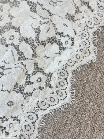 Bella Rose Eden #2 thumbnail