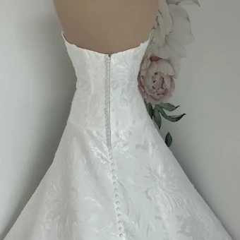 Bella Rose Genesis #3 thumbnail