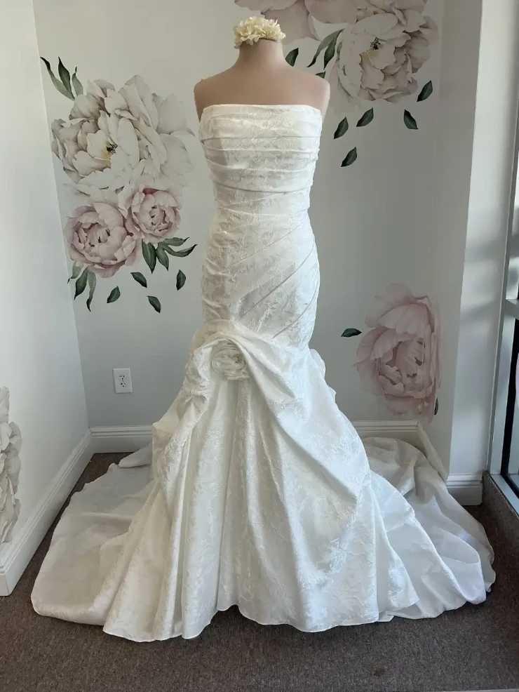 Bella Rose Belle Default Thumbnail Image