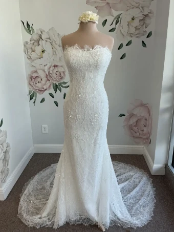 Bella Rose Tilly #0 default thumbnail