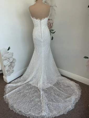 Bella Rose Tilly #2 thumbnail