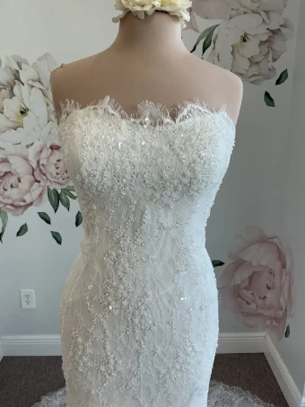 Bella Rose Tilly #1 thumbnail